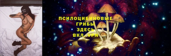 a pvp Алзамай