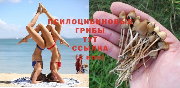 а пвп мука Алексеевка