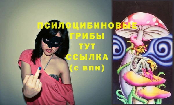 МДПВ Абинск