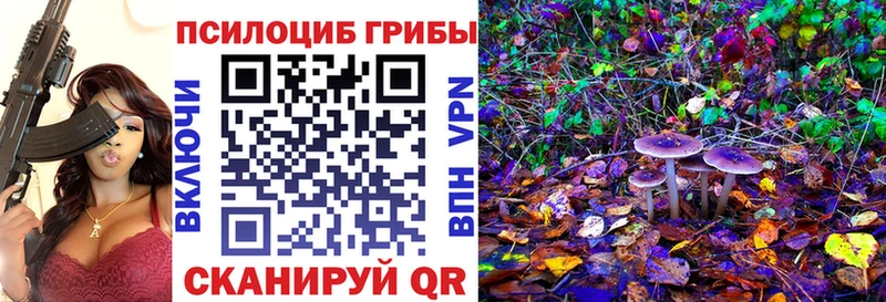 цены наркотик  Покачи  Галлюциногенные грибы Psilocybine cubensis 